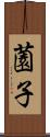 薗子 Scroll
