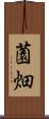 薗畑 Scroll