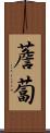 薝蔔 Scroll