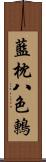 藍枕八色鶇 Scroll