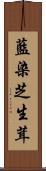 藍染芝生茸 Scroll