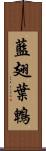 藍翅葉鵯 Scroll