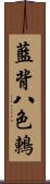 藍背八色鶇 Scroll