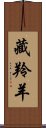 藏羚羊 Scroll