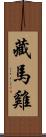 藏馬雞 Scroll