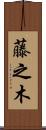 藤之木 Scroll
