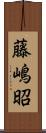 藤嶋昭 Scroll