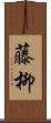藤柳 Scroll