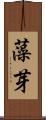 藻芽 Scroll
