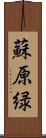 蘇原緑 Scroll