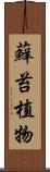 蘚苔植物 Scroll