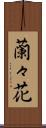 蘭々花 Scroll