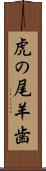 虎の尾羊歯 Scroll