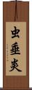 虫垂炎 Scroll