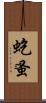 虼蚤 Scroll