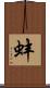 蚌 Scroll