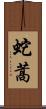 蛇蒿 Scroll