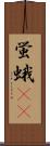 蛍蛾(rK) Scroll