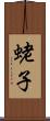 蛯子 Scroll