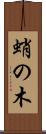 蛸の木 Scroll