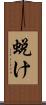 蛻け Scroll