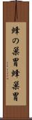 蜂の巣胃 Scroll