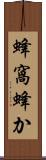 蜂窩 Scroll
