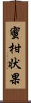 蜜柑状果 Scroll