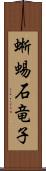 蜥蜴 Scroll