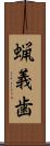蝋義歯 Scroll