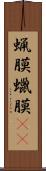 蝋膜 Scroll
