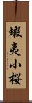 蝦夷小桜 Scroll