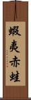 蝦夷赤蛙 Scroll
