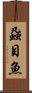 蝨目魚 Scroll