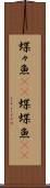 蝶々魚(rK) Scroll