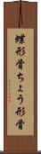 蝶形骨 Scroll