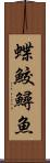 蝶鮫 Scroll