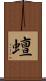 蟺 Scroll