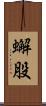 蠏股 Scroll