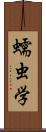 蠕虫学 Scroll