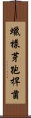 蠟樣芽孢桿菌 Scroll