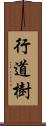 行道樹 Scroll