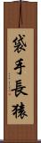 袋手長猿 Scroll