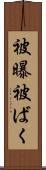 被曝 Scroll