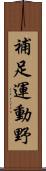補足運動野 Scroll