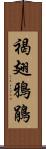 褐翅鴉鵑 Scroll