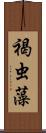 褐虫藻 Scroll