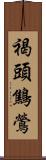 褐頭鷦鶯 Scroll