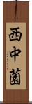 西中薗 Scroll