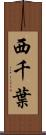 西千葉 Scroll